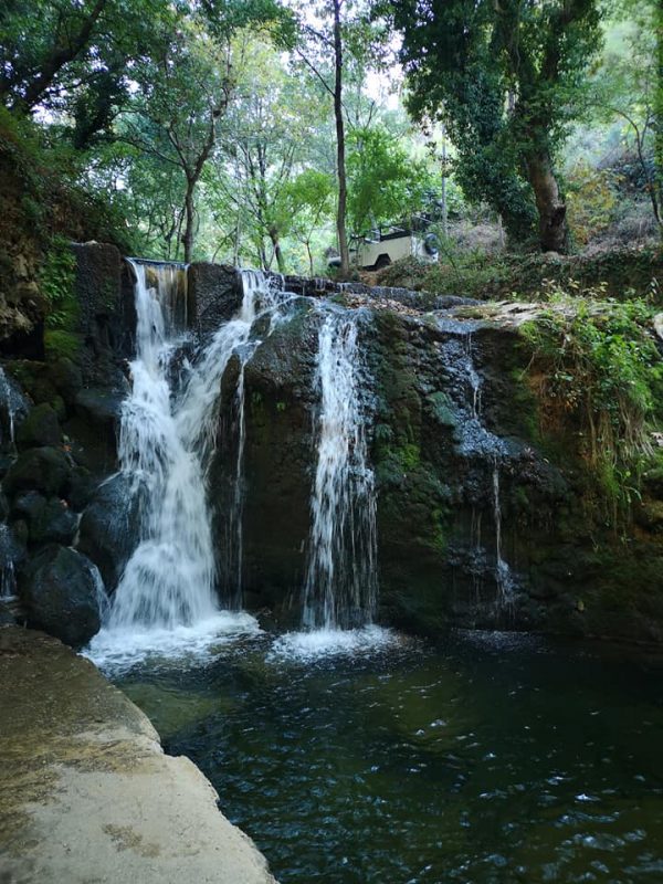 245935350 4838009736229344 7662074487854503464 n