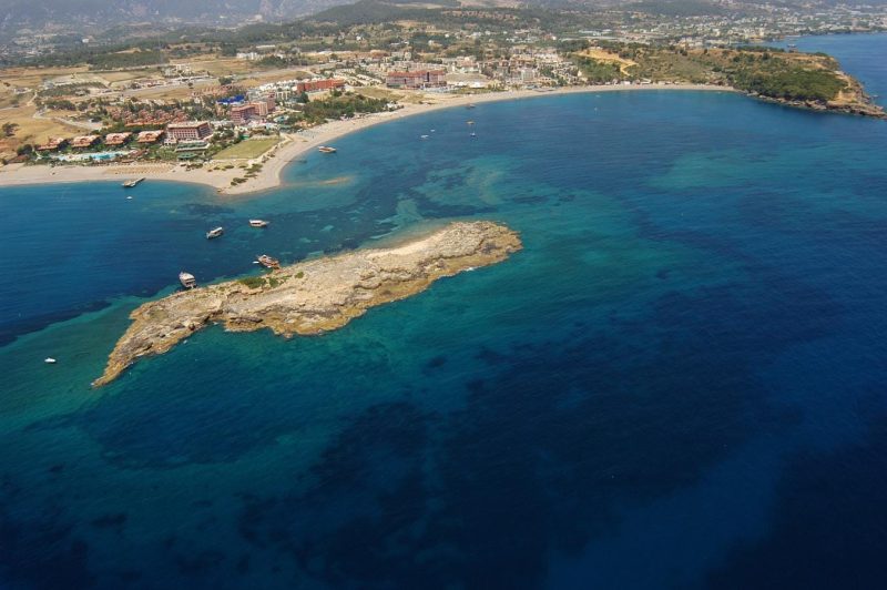 dolphin island 2