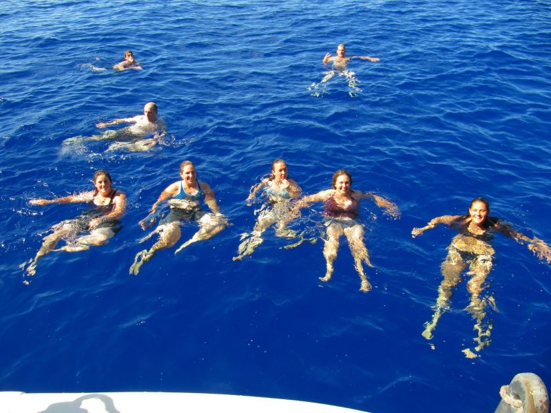 dolphin island 5