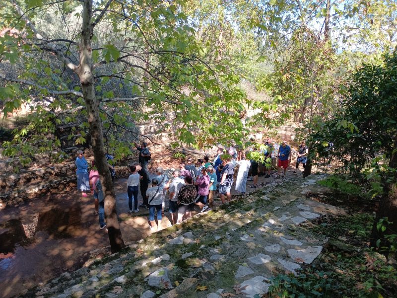 off road adventure 3