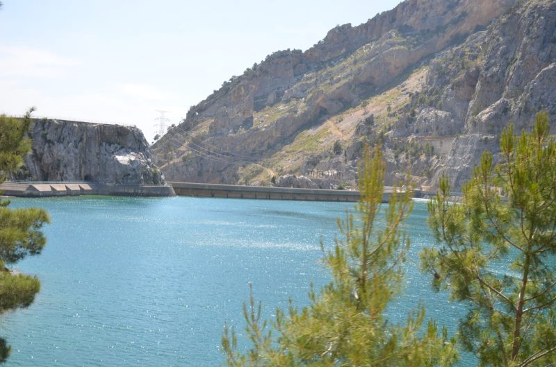 pink panter safari 04