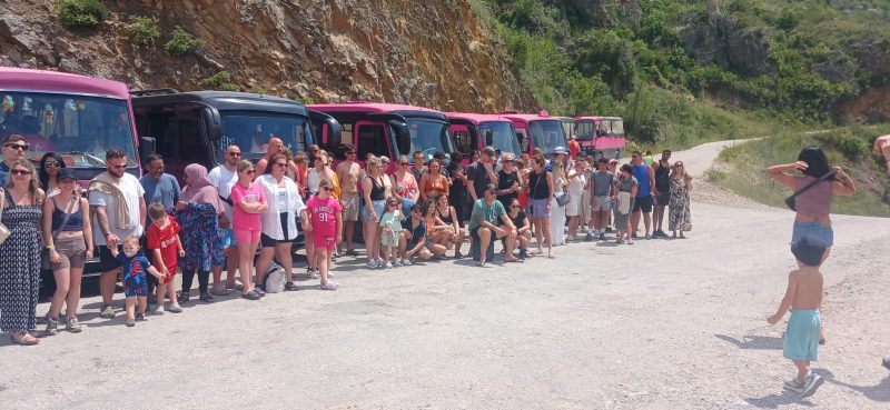 pink panter safari 05