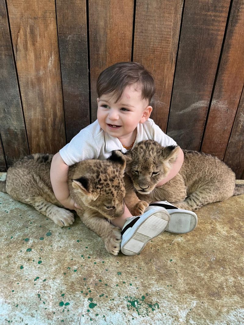 pink panter safari 08